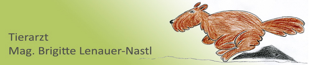 Logo Mag. LENAUER-NASTL Brigitte